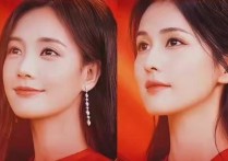 白鹿像哪个老演员（两人虽然长相有些相似演技的风格确实完全不一样）