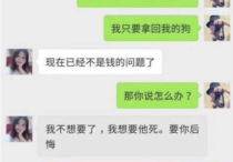 广西南宁莫莉婷捡到狗敲诈4500元是怎么回事   聊天记录让人气愤