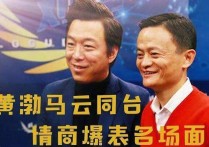 娱乐圈评价黄渤（只要黄渤出现必然会和高情商联系在一起）
