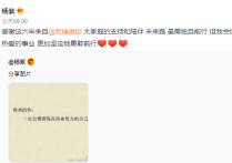 杨紫是哪个公司的艺人（杨紫与欢瑞世纪顺利解约手握3家公司成富婆）
