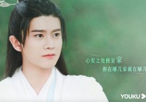 任嘉伦《与君初相识》纯情变霸道(男星演世子杨洋腹黑狡猾肖战放荡不羁)