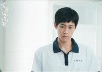 晏紫东演过什么角色（细数晏紫东的每个角色可以说都有其鲜明的特点）
