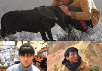 豫剧演员王凡（为郎少精心设计小细节情感拿捏准确演技大爆发）