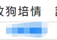 黄心颖隐退3年公开恋情（与男友约会画面被拍大方公开恋情并宣布离巢TVB）