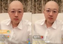 伽柏哥和辛巴是什么关系 伽柏哥为辛巴威胁牌伊