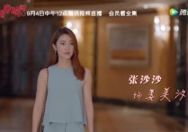 张沙沙算几线演员啊（张沙沙竟然还跟王志文对过戏呢）